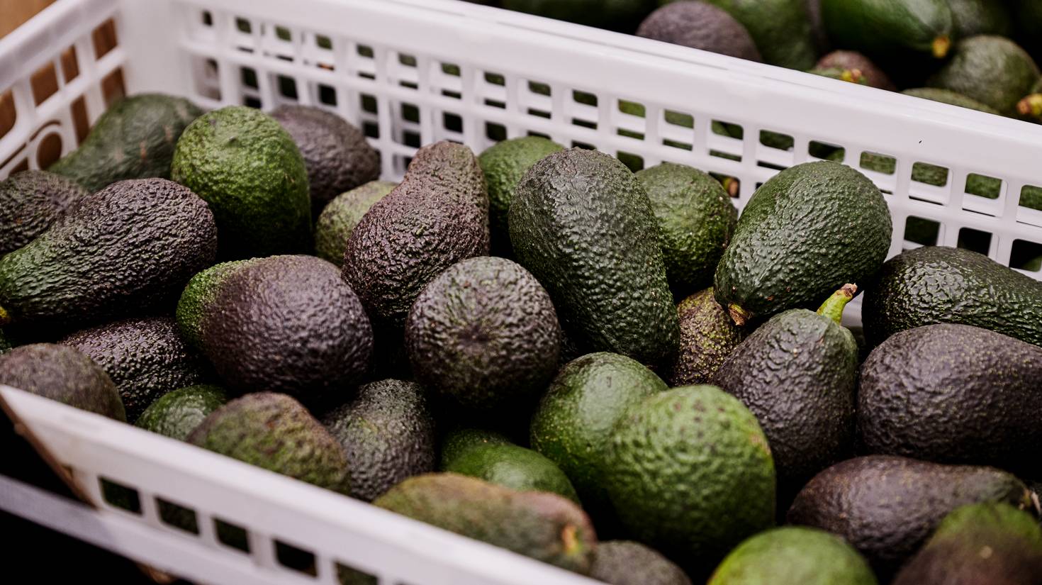 The superfood benefits of the amazing avocado - The Manual