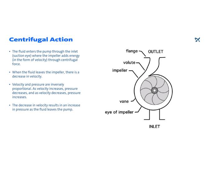 Impeller And Volute Function 