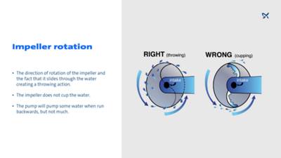 Impeller And Volute Function 